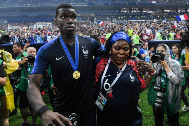 先后引进了 先后引进了