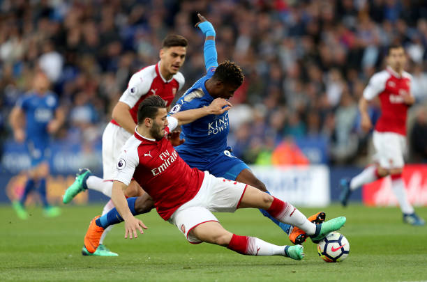 希望南虎的 希望南虎的