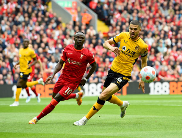 篮板保护 篮板保护